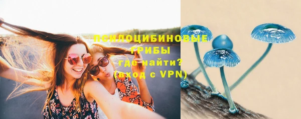 твердый Гусев