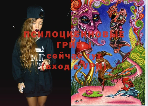 бошки Вяземский