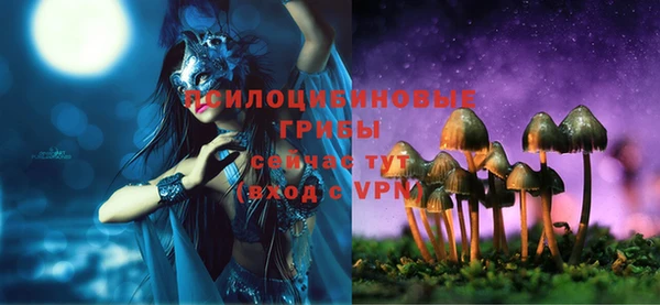 прущая мука Горняк